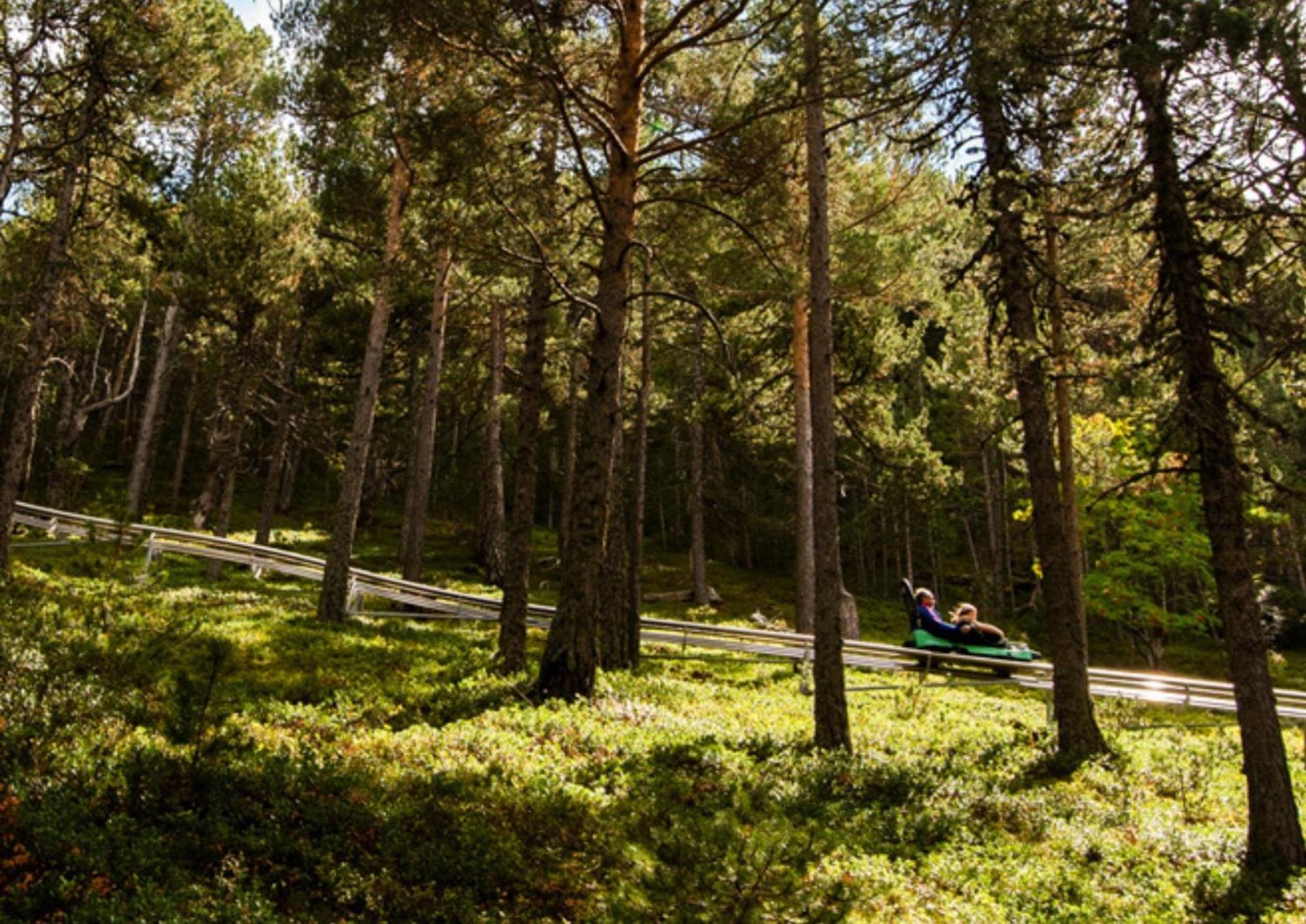Apartamento Moderno El Bosque En อรินซัล ภายนอก รูปภาพ